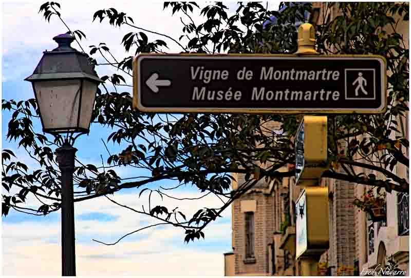 Vigne Montmartre